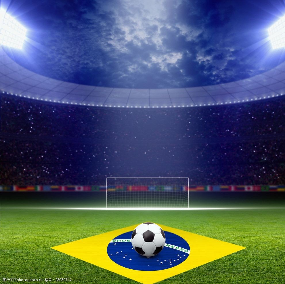 锐的洞察力 锐的洞察力